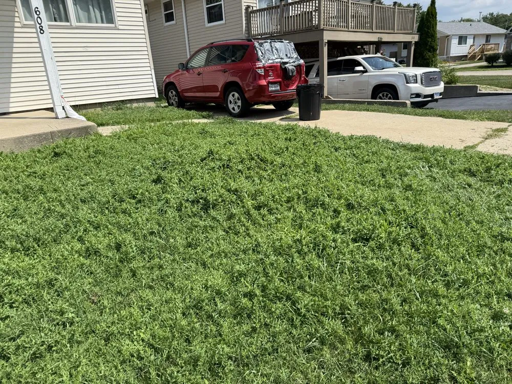 Trusted landscaping services for year-round maintenance across Chicago, IL - Legendary Landscaping