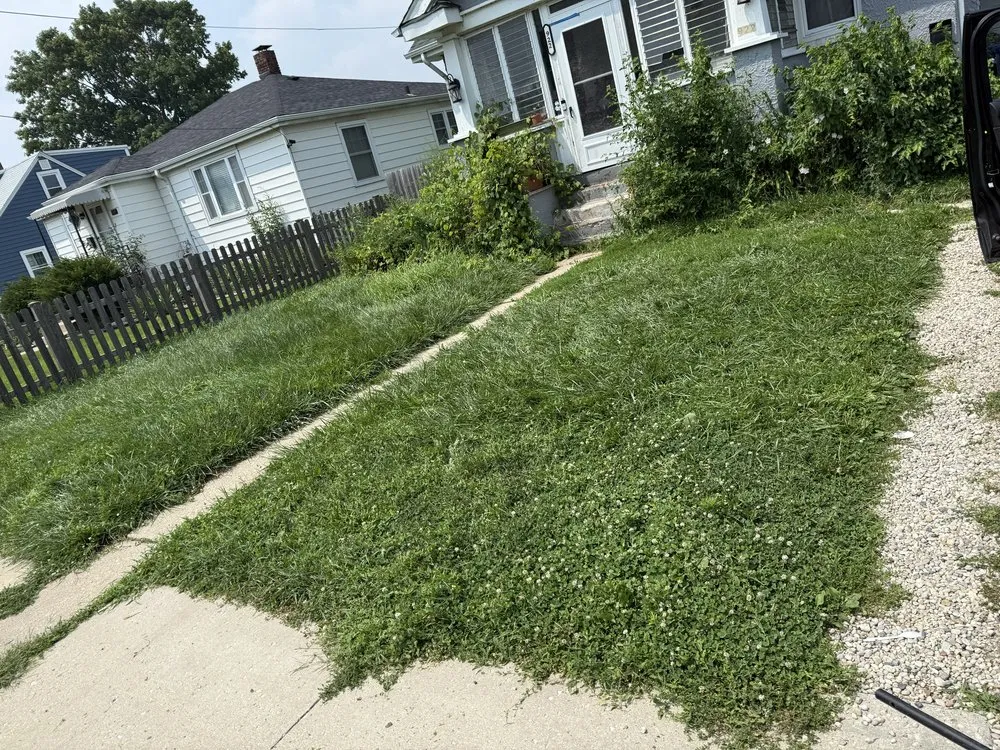 Professional yard cleanup service experts serving Chicago, IL - Legendary Landscaping