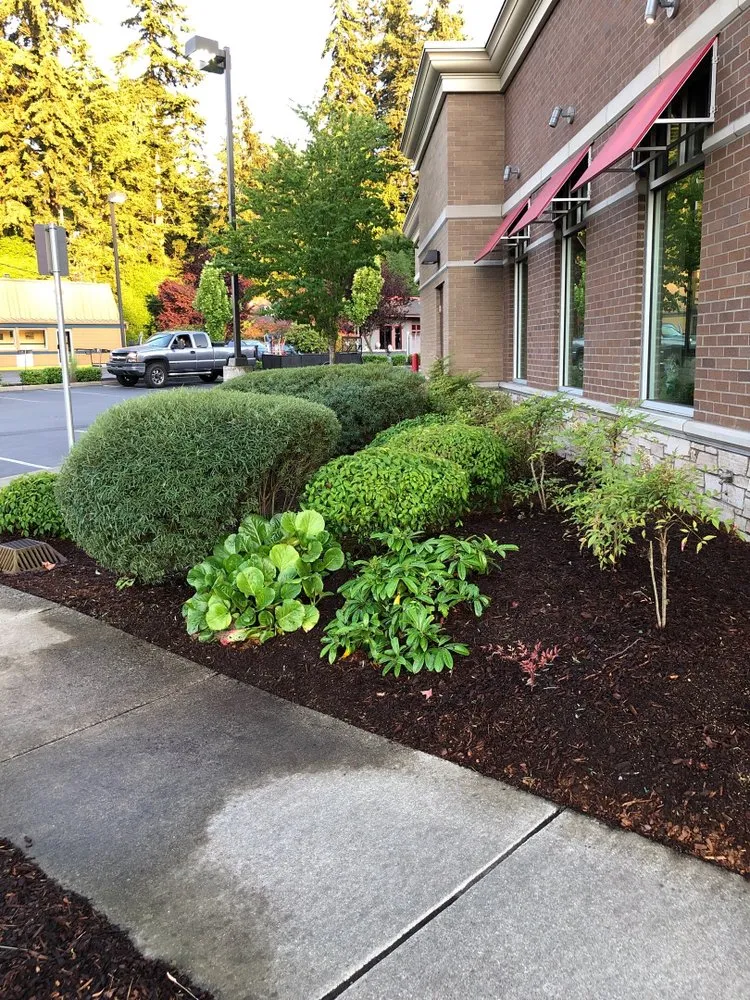 Affordable lawn care service near you across Lynnwood, WA - Legendary Landscaping