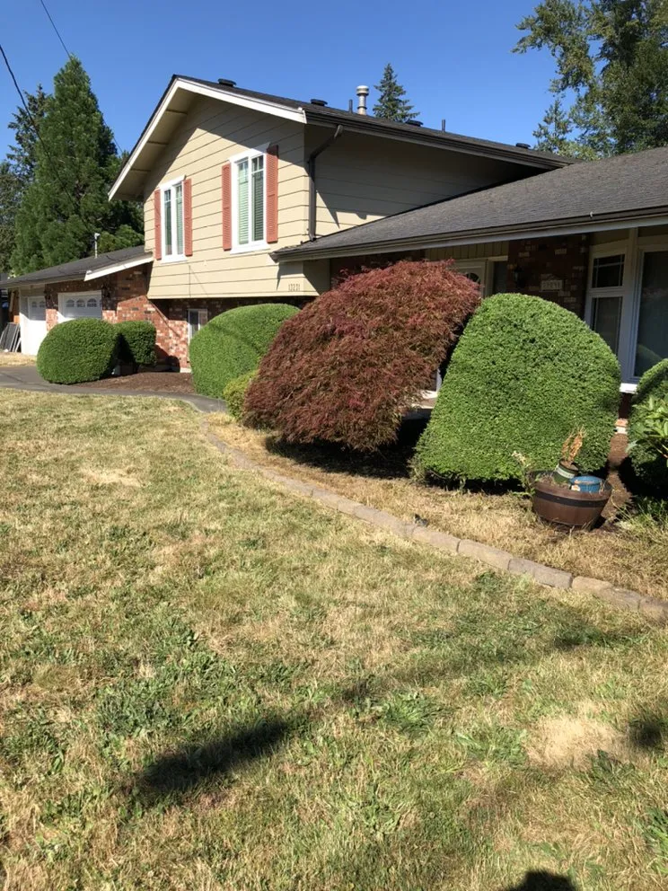 Affordable lawn mowing service for year-round maintenance in Lynnwood, WA by Legendary Landscaping