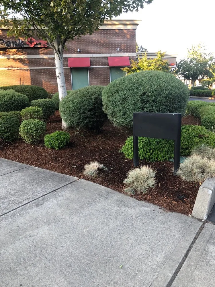 Local garden landscaping for beautiful yards across Lynnwood, WA - Legendary Landscaping