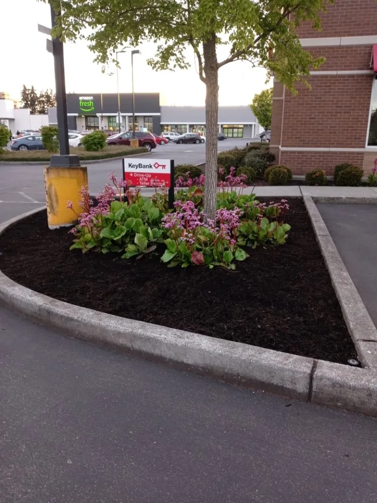Local landscape installation for homes in Lynnwood, WA by Legendary Landscaping