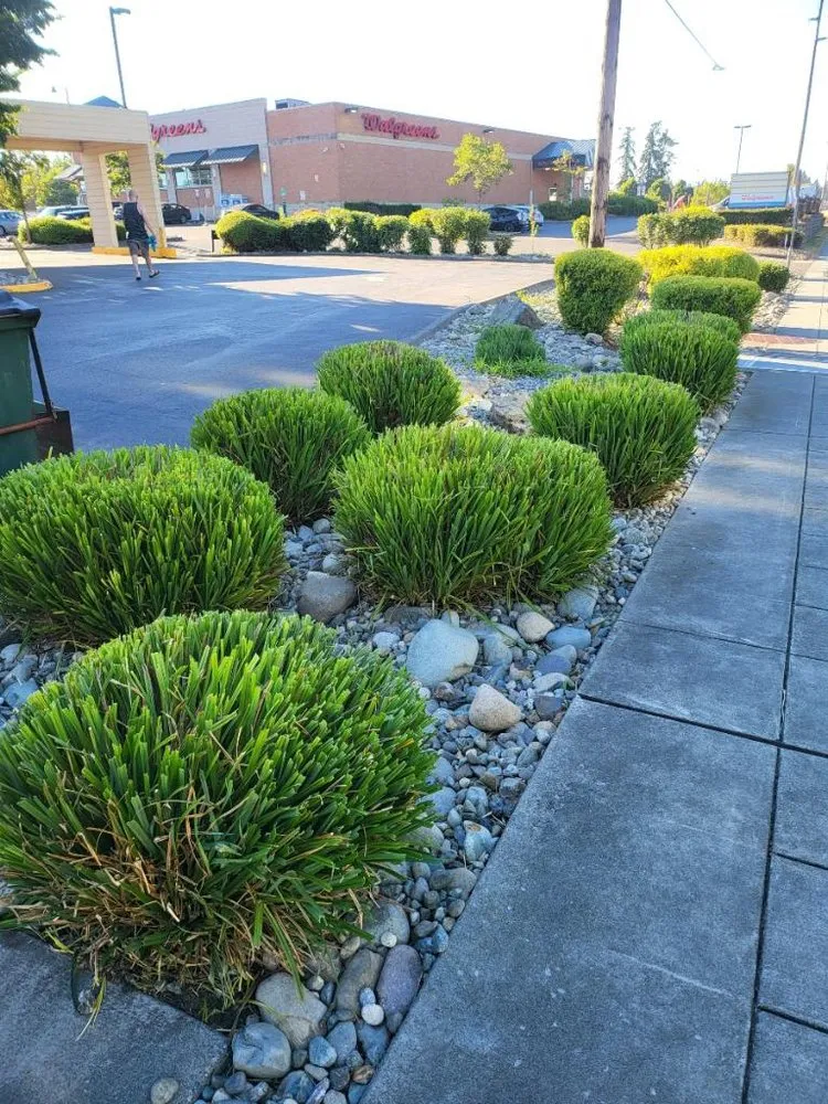 Affordable yard cleanup service in Lynnwood, WA - Legendary Landscaping
