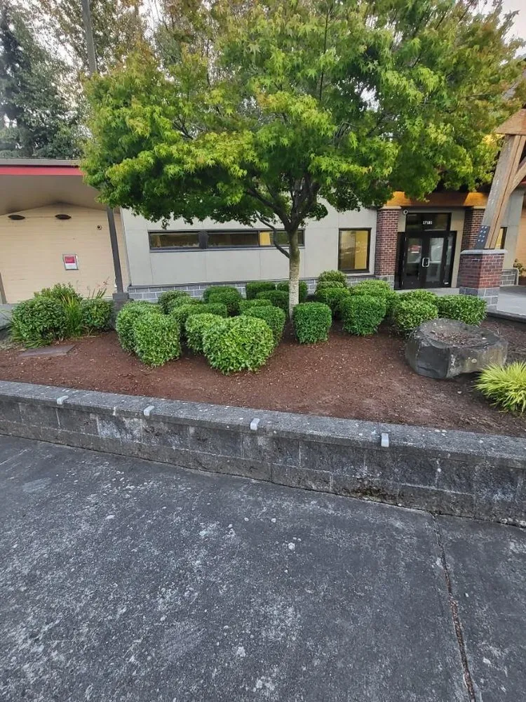 Expert landscape installation for homes across Lynnwood, WA - Legendary Landscaping