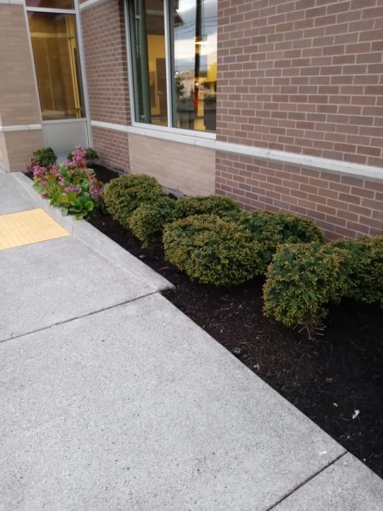 Local yard maintenance for year-round maintenance in Lynnwood, WA by Legendary Landscaping