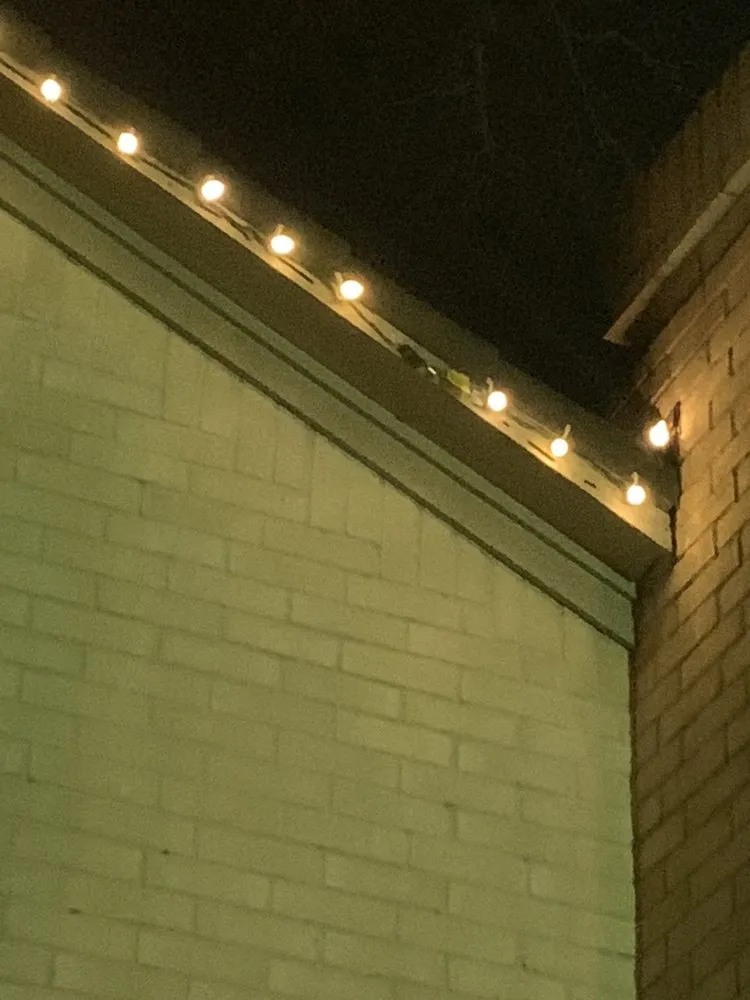 Expert garden landscaping for homes in Spring, TX by Legendary Landscaping