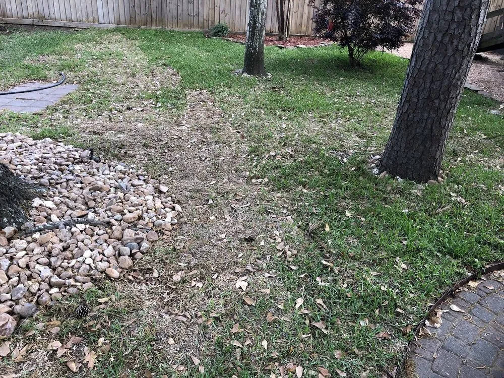 Custom landscape installation in Spring, TX - Legendary Landscaping