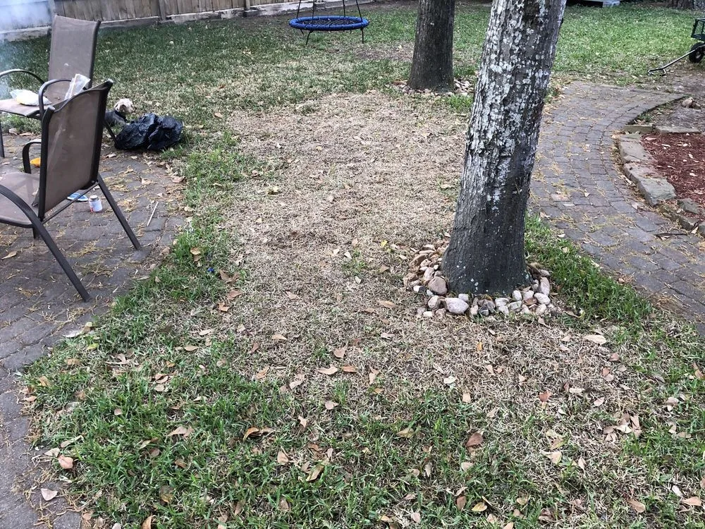 Professional lawn mowing service in Spring, TX - Legendary Landscaping