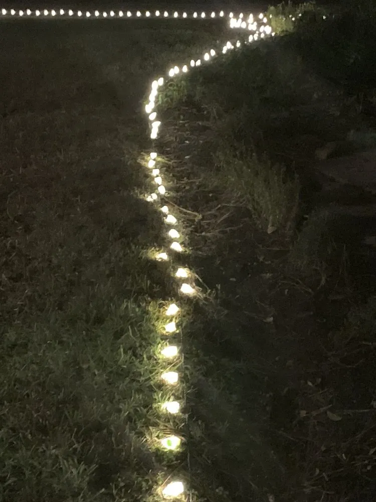 Expert yard maintenance in Spring, TX by Legendary Landscaping