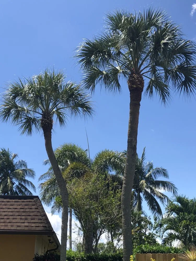 Affordable lawn mowing service in Plantation, FL by Legendary Lawn & Trees