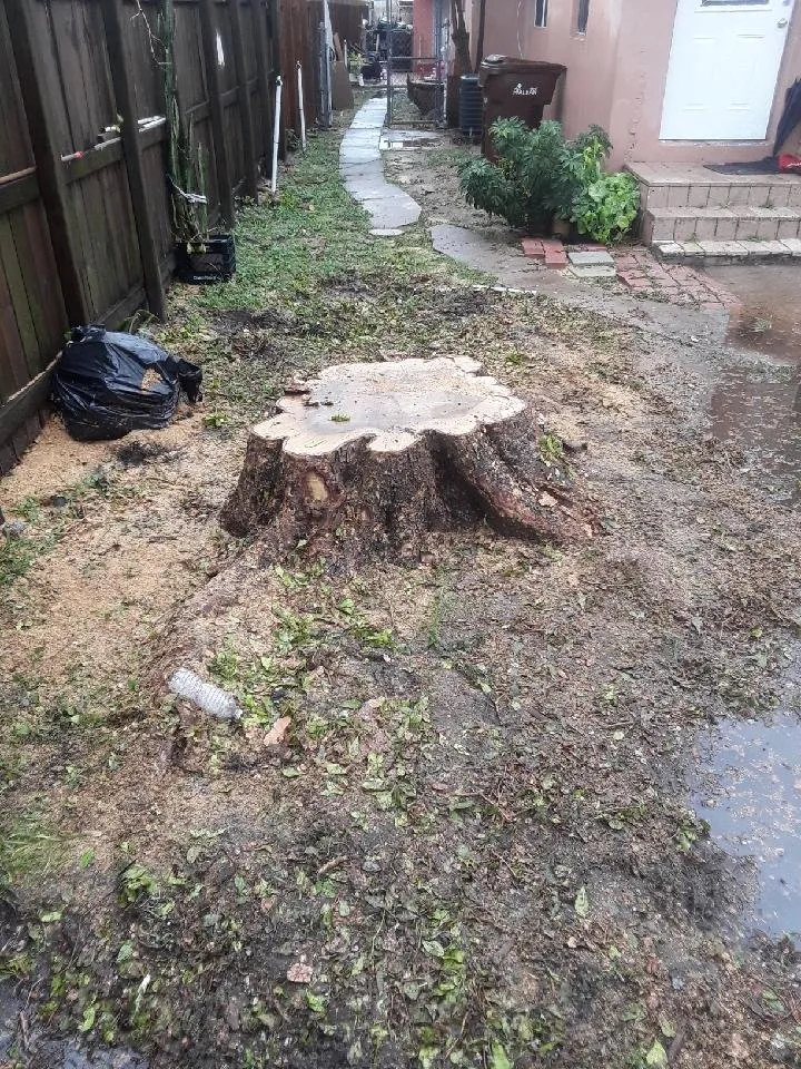 Professional lawn mowing service in Plantation, FL - Legendary Lawn & Trees