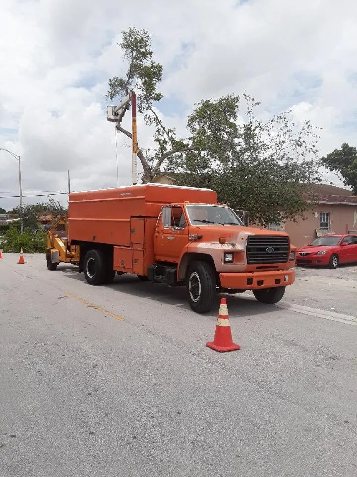 Professional lawn care service for outdoor upgrades across Plantation, FL - Legendary Lawn & Trees