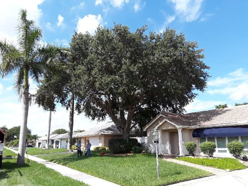 Expert landscape design experts serving Plantation, FL - Legendary Lawn & Trees