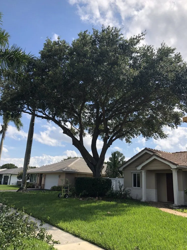 Expert landscape installation for outdoor upgrades across Plantation, FL - Legendary Lawn & Trees