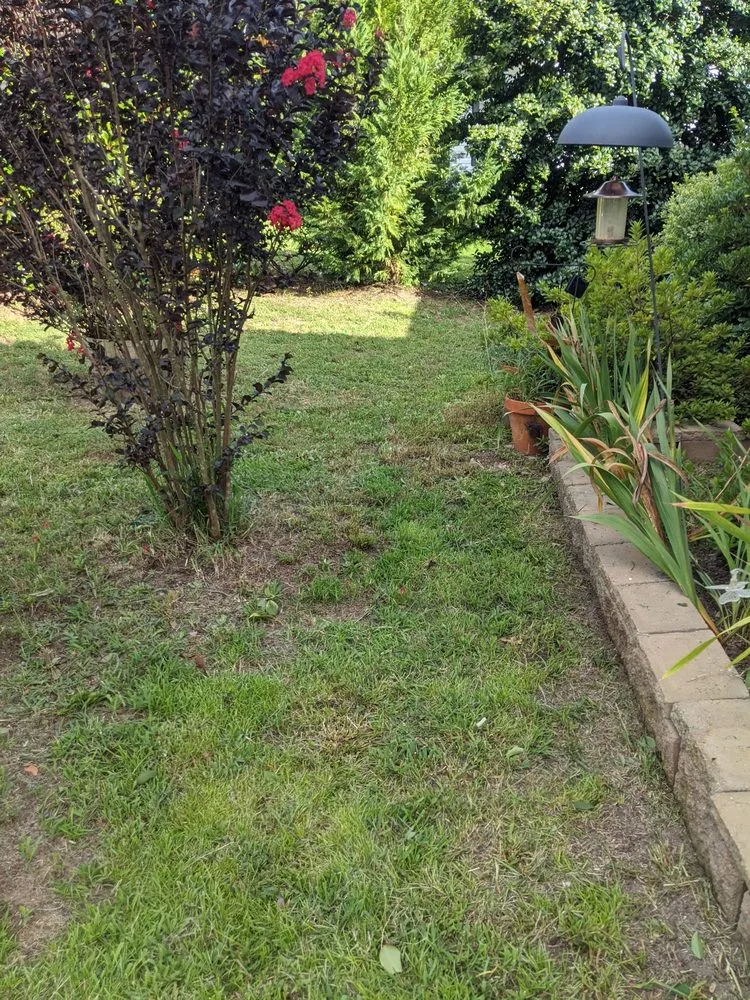 Local yard cleanup service with custom design in Augusta, GA by Legendary Lawn Care