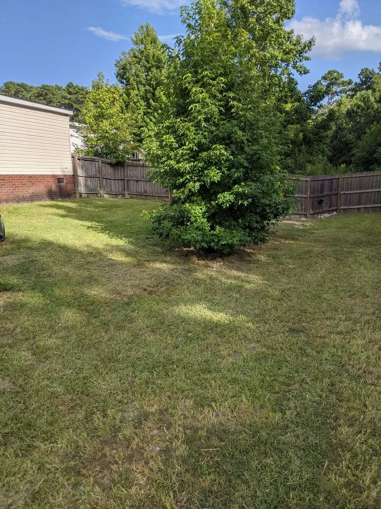 Professional yard cleanup service in Augusta, GA by Legendary Lawn Care