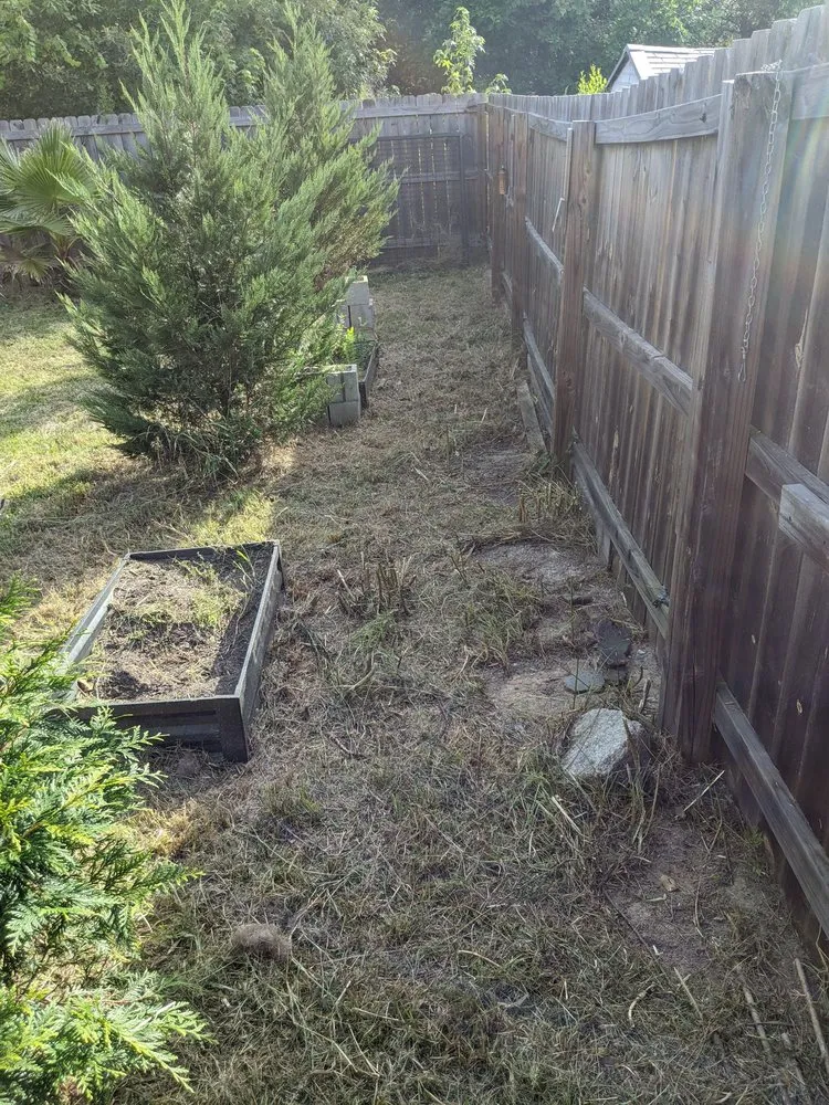 Professional landscaping services in Augusta, GA - Legendary Lawn Care