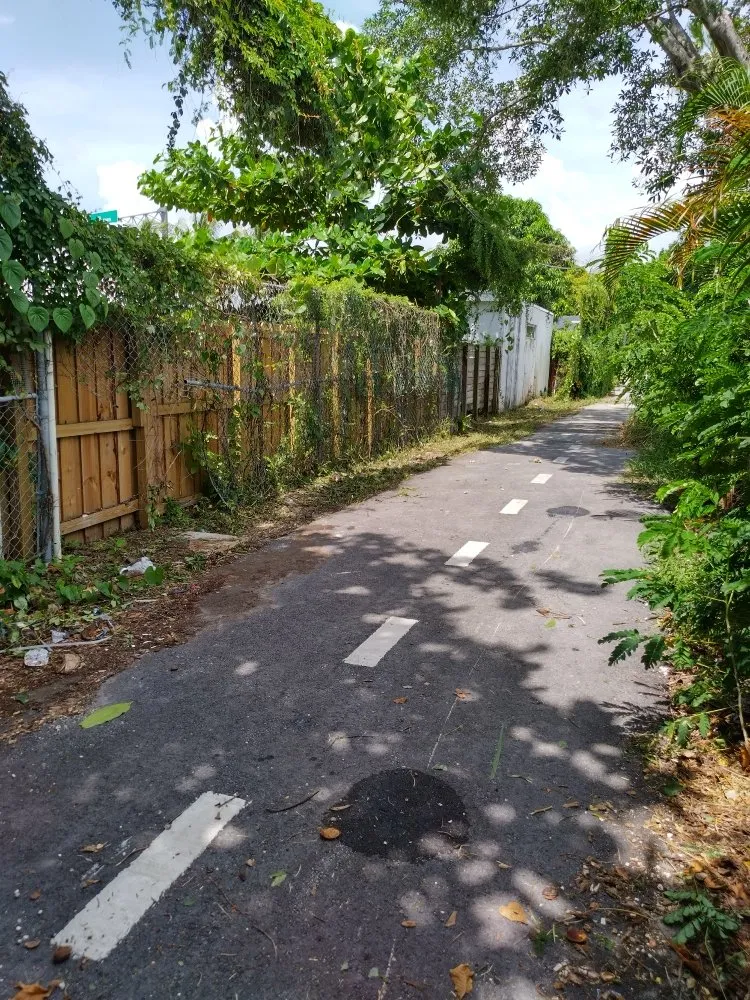 Affordable landscaping services in Miami, FL by Legendary Lawn Care