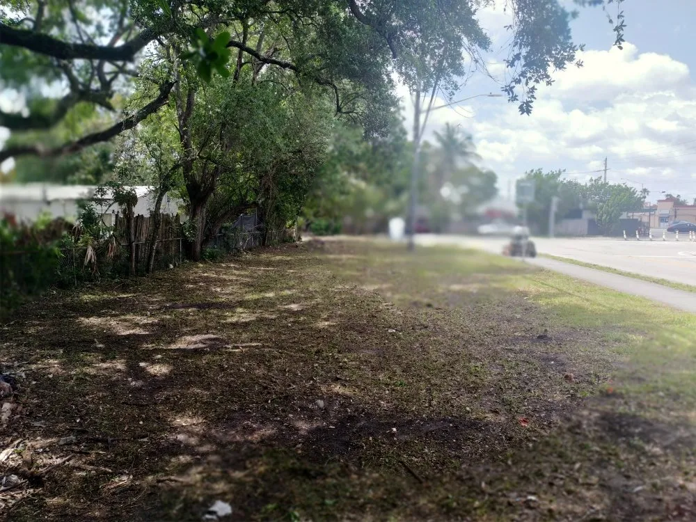 Professional yard maintenance experts serving Miami, FL - Legendary Lawn Care