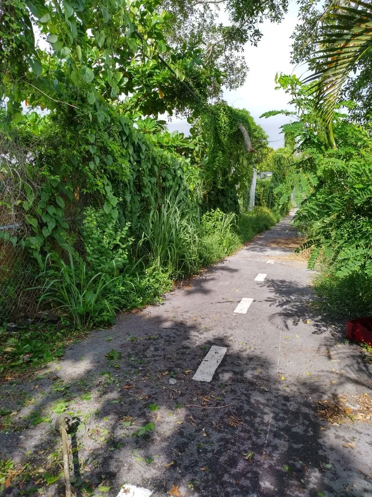 Trusted residential landscaping in Miami, FL by Legendary Lawn Care