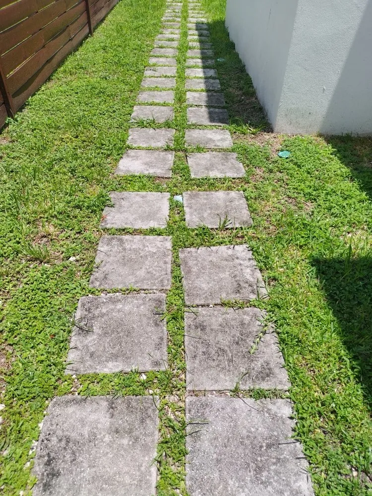 Local landscape design experts serving Miami, FL - Legendary Lawn Care