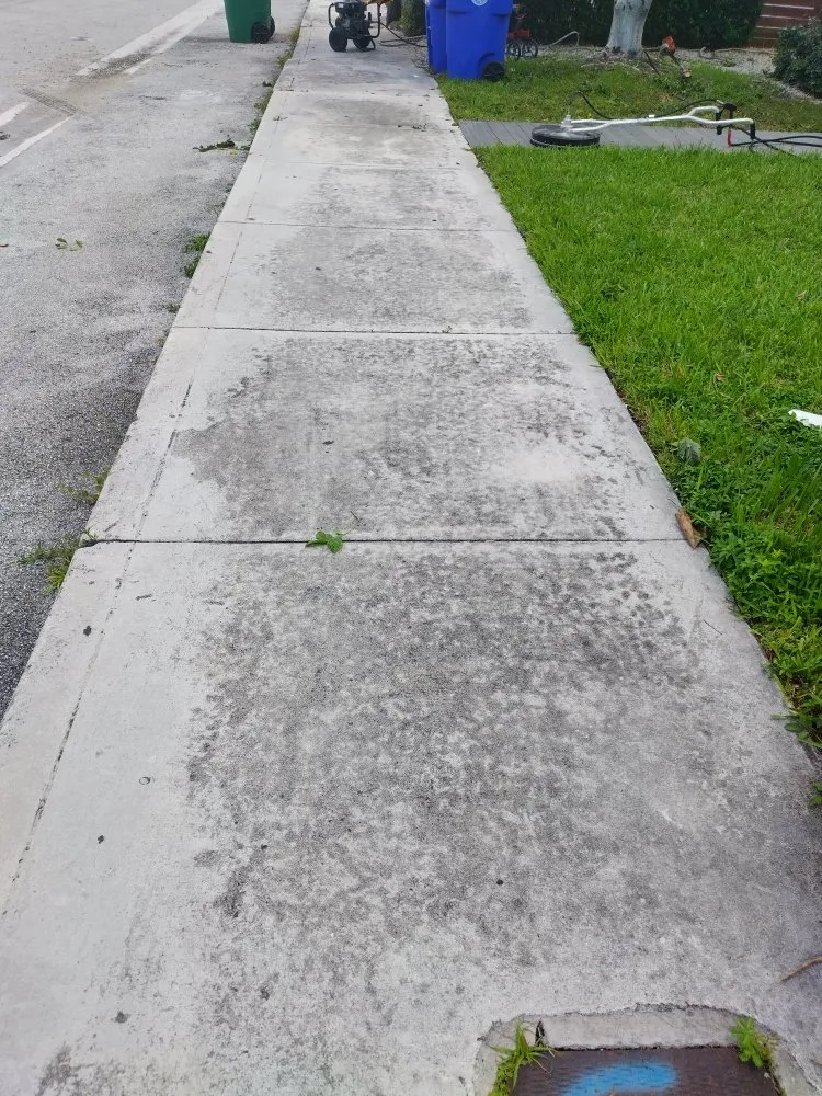 Professional landscaping services in Miami, FL by Legendary Lawn Care