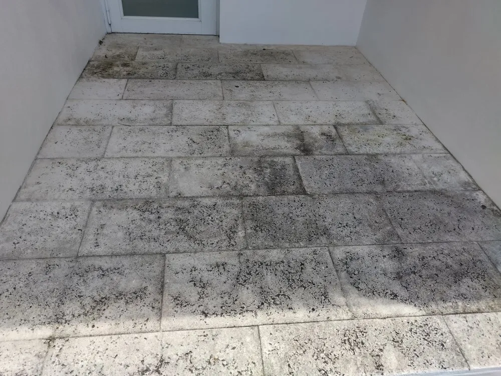 Professional outdoor landscaping in Miami, FL - Legendary Lawn Care