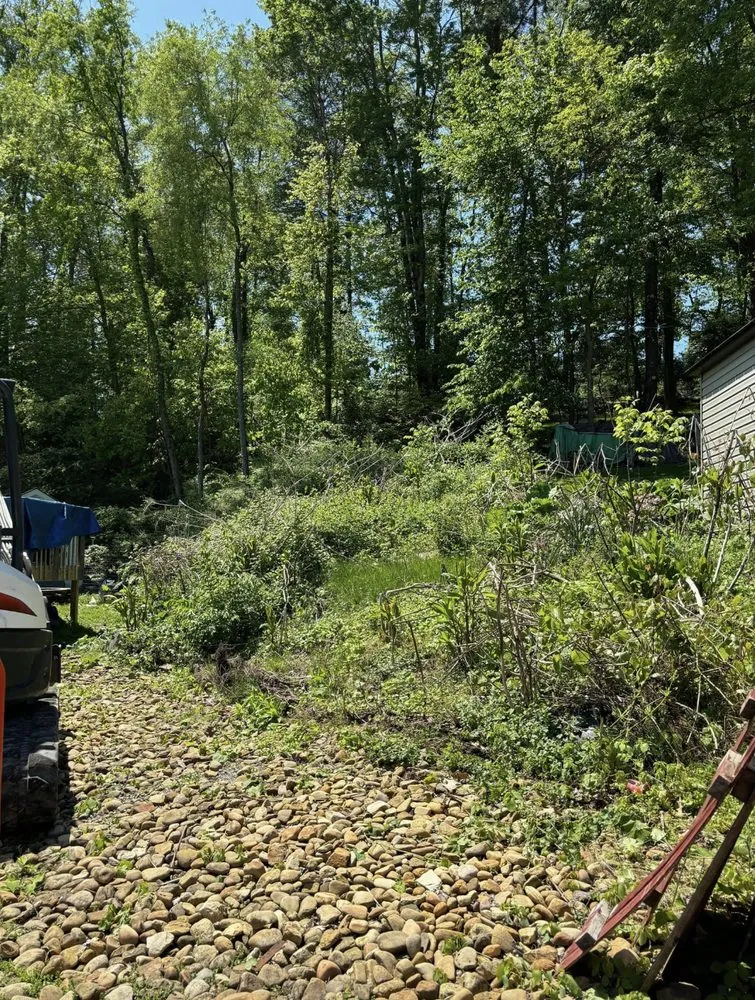 Affordable yard maintenance for year-round maintenance in Cheswick, PA by Legendary Lawn Care Service