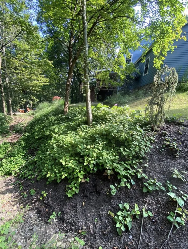 Trusted outdoor landscaping in Cheswick, PA by Legendary Lawn Care Service