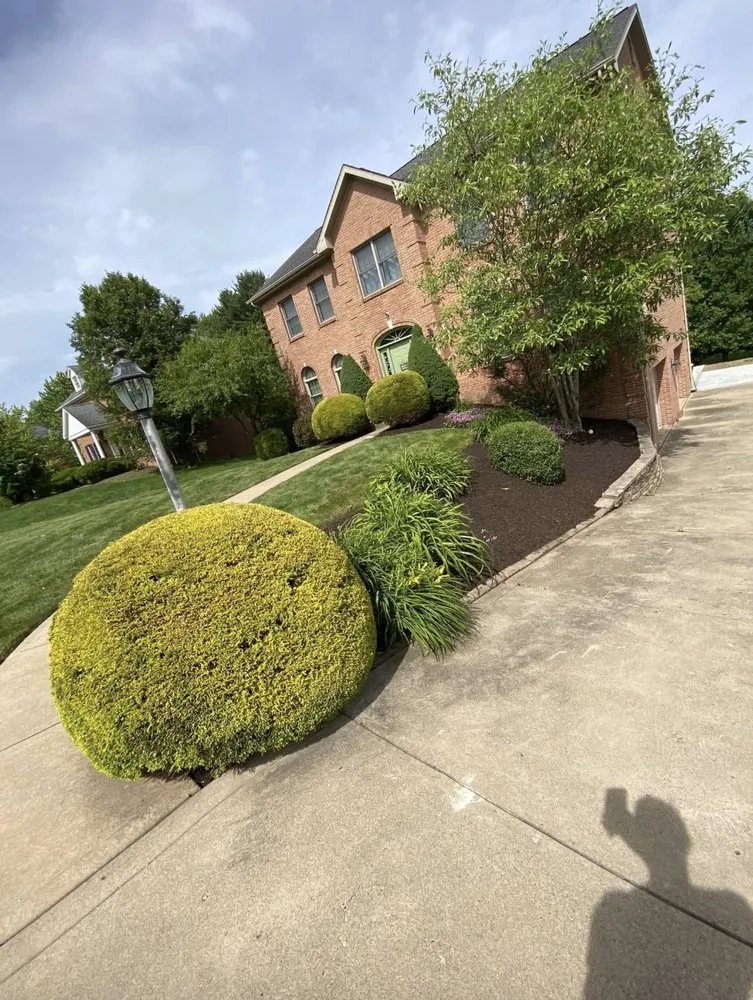 Reliable yard cleanup service near you across Cheswick, PA - Legendary Lawn Care Service