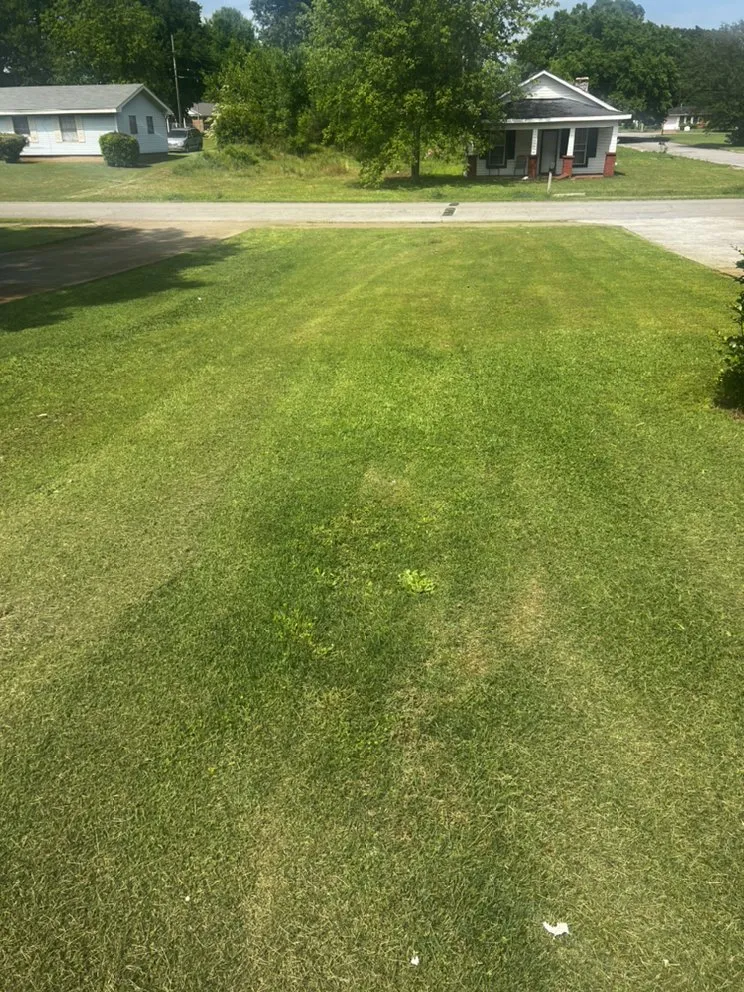 Reliable landscape installation near you across Decatur, AL - Legendary Lawn Cares