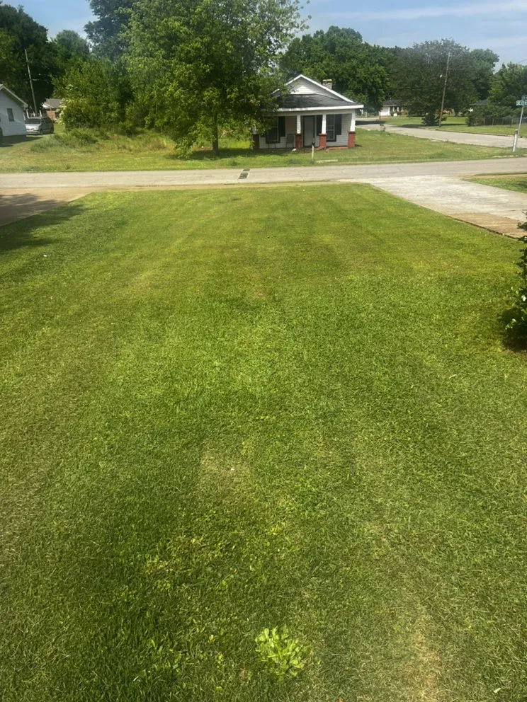 Top-rated lawn care service experts serving Decatur, AL - Legendary Lawn Cares