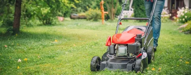 Top-rated yard maintenance in Decatur, AL - Legendary Lawn Cares