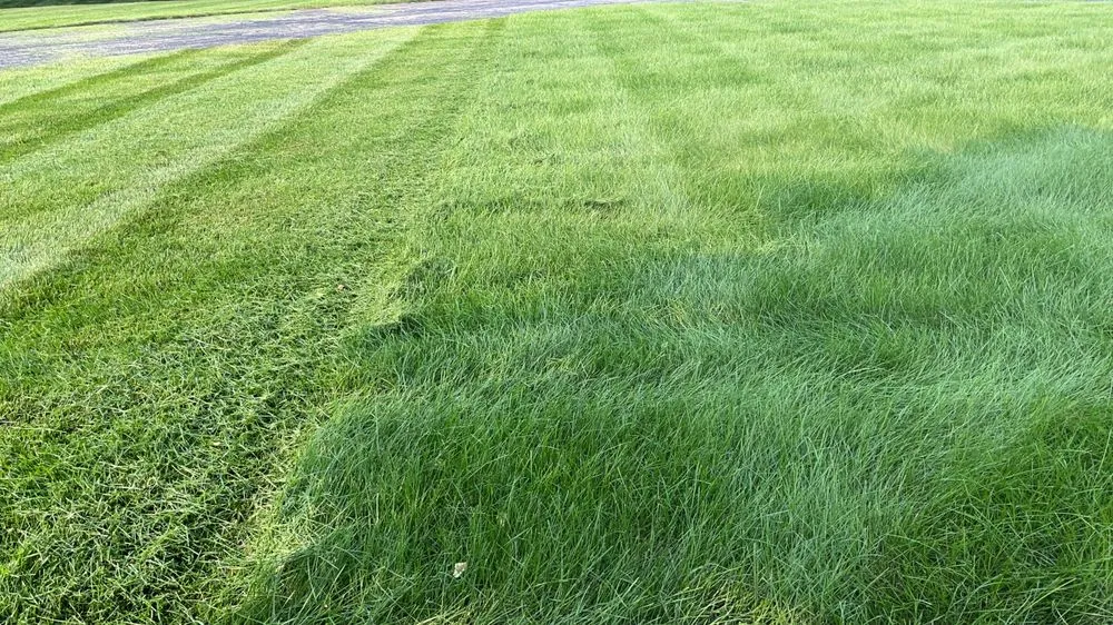 Expert landscape installation for year-round maintenance across Angola, IN - Legendary Lawns