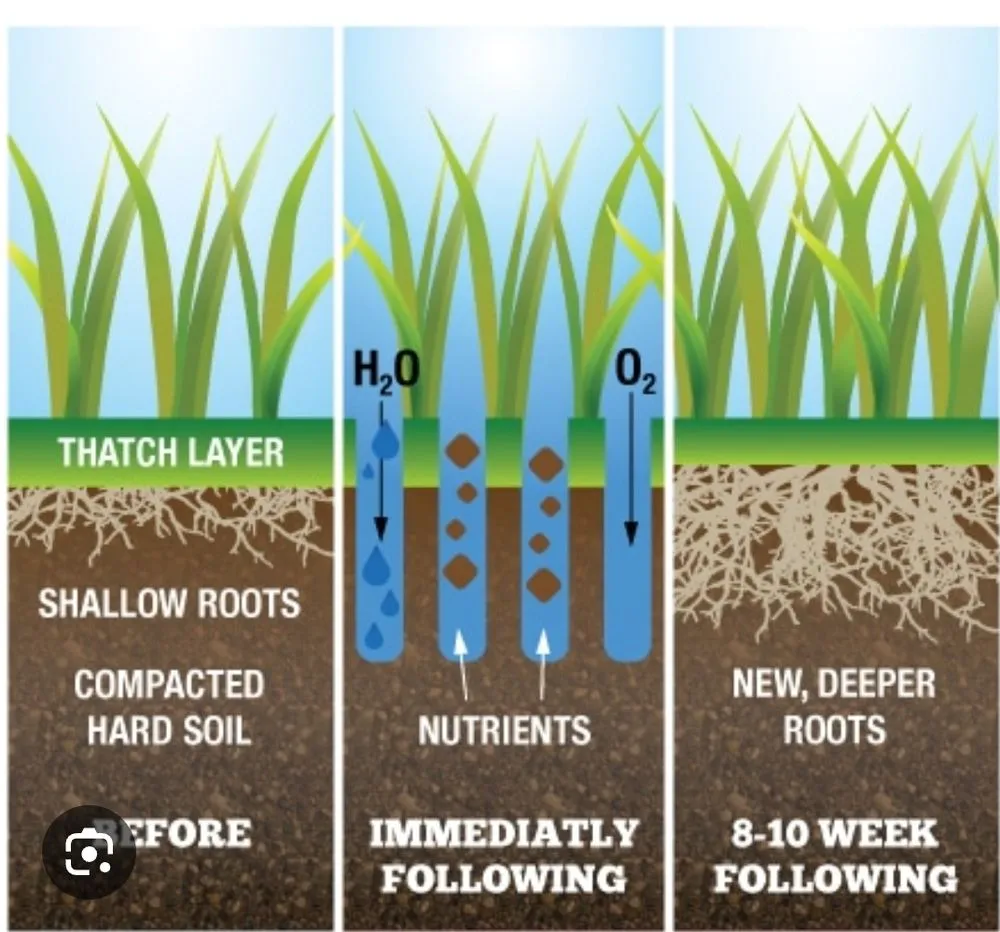 Affordable landscape design experts serving Livonia, MI - Legendary Lawns