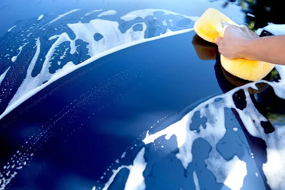 Expert landscaping services experts serving Winter Haven, FL - Legendary Pressure Washing & Detailing