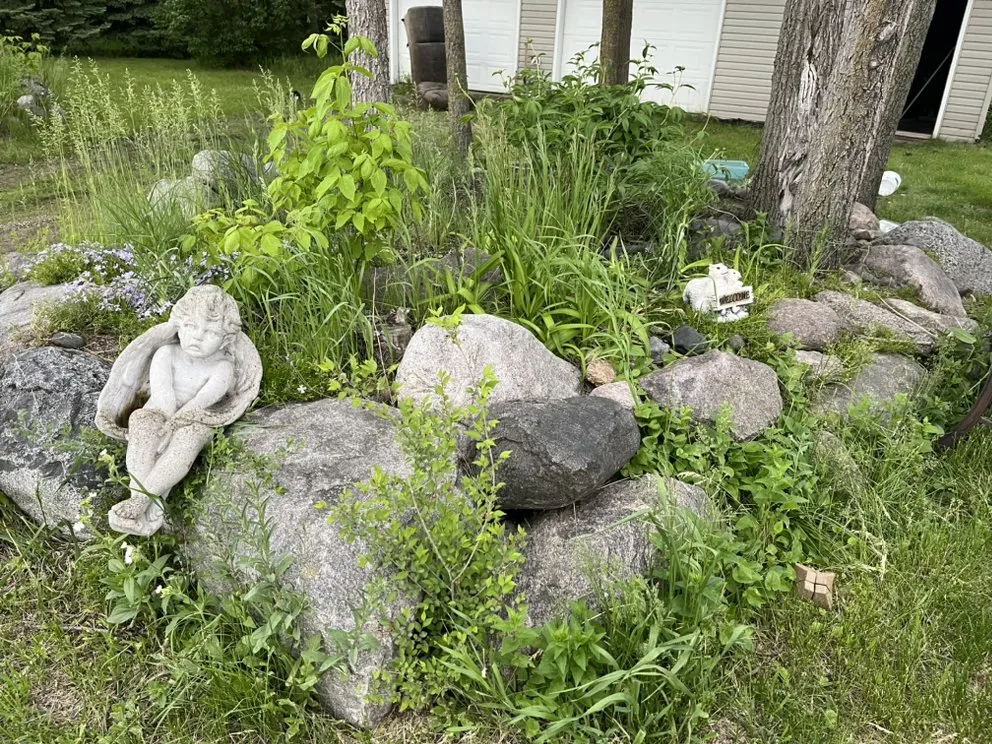 Top-rated yard cleanup service for year-round maintenance in Litchfield, MN by Legendary Tree Care And Property Maintenance