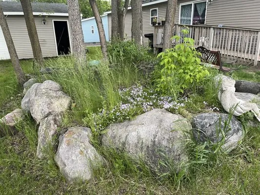 Legendary Tree Care And Property Maintenance