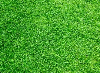 Trusted lawn care service for year-round maintenance in Averill Park, NY by Legends Hardscapes