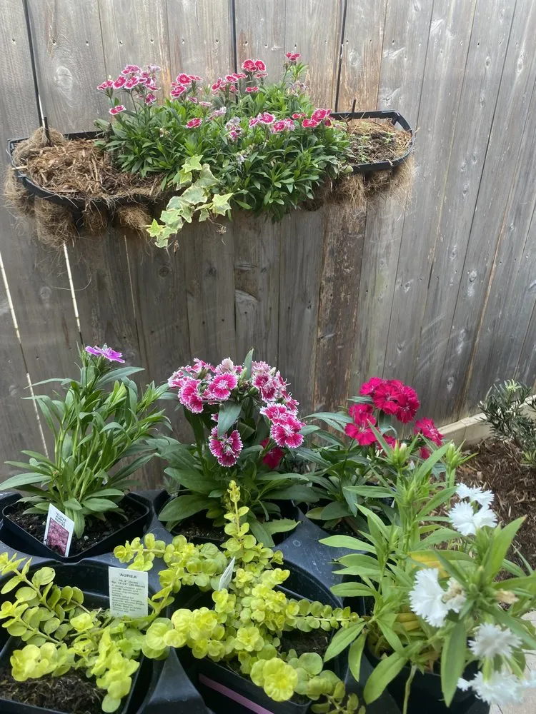 Reliable landscape installation experts serving Lafayette, LA - Legends Landscape