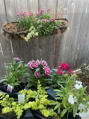 Legends Landscape Logo