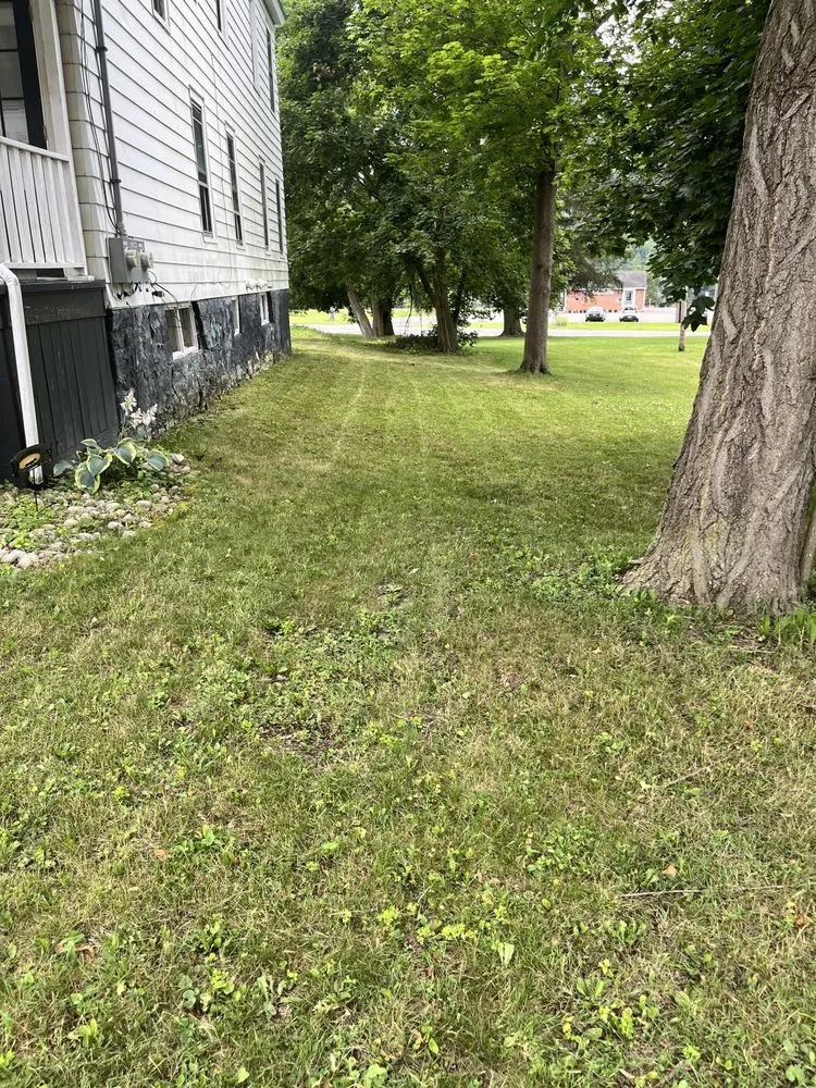 Affordable landscape design in Amsterdam, NY by Legends landscaping & pressure washing