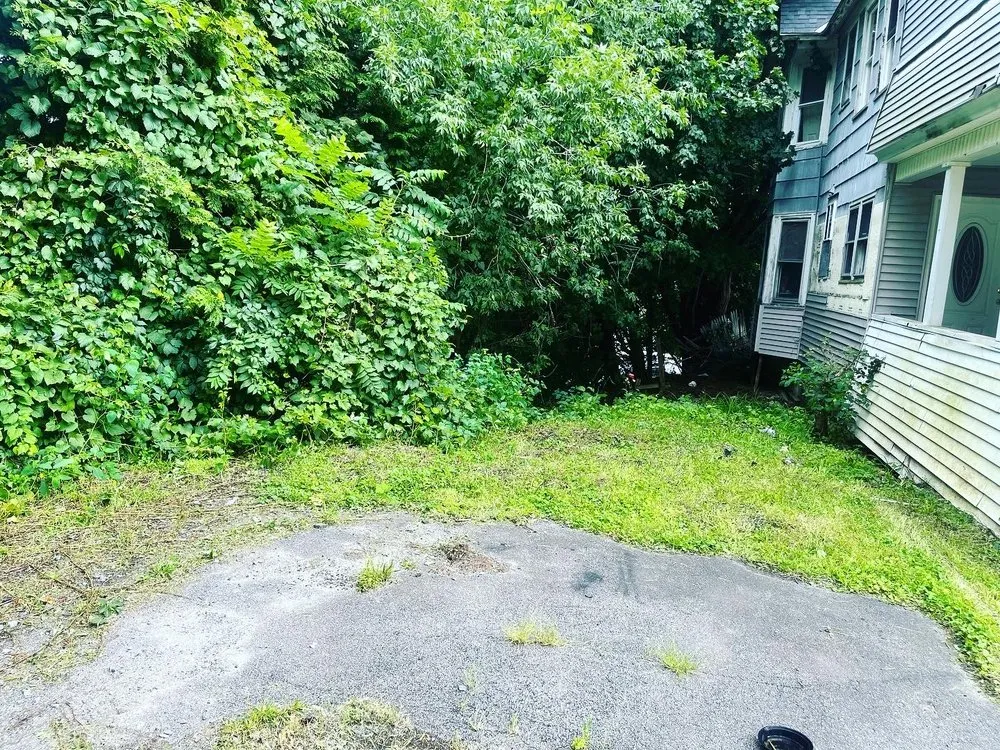 Top-rated yard cleanup service in Amsterdam, NY by Legends landscaping & pressure washing