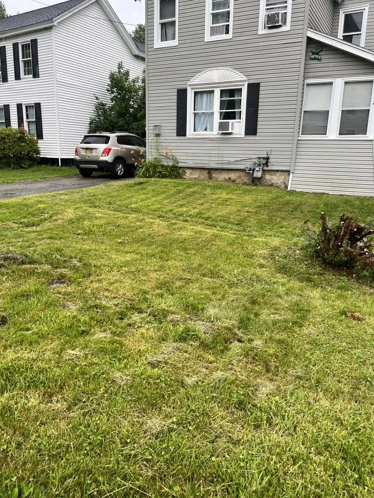 Professional lawn care service in Amsterdam, NY by Legends landscaping & pressure washing