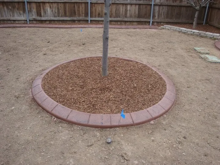 Reliable landscaping services for year-round maintenance across Nampa, ID - Legends Landscaping