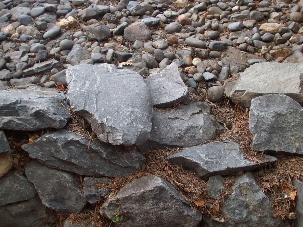 Custom yard maintenance experts serving Sparks, NV - Legends Landscaping