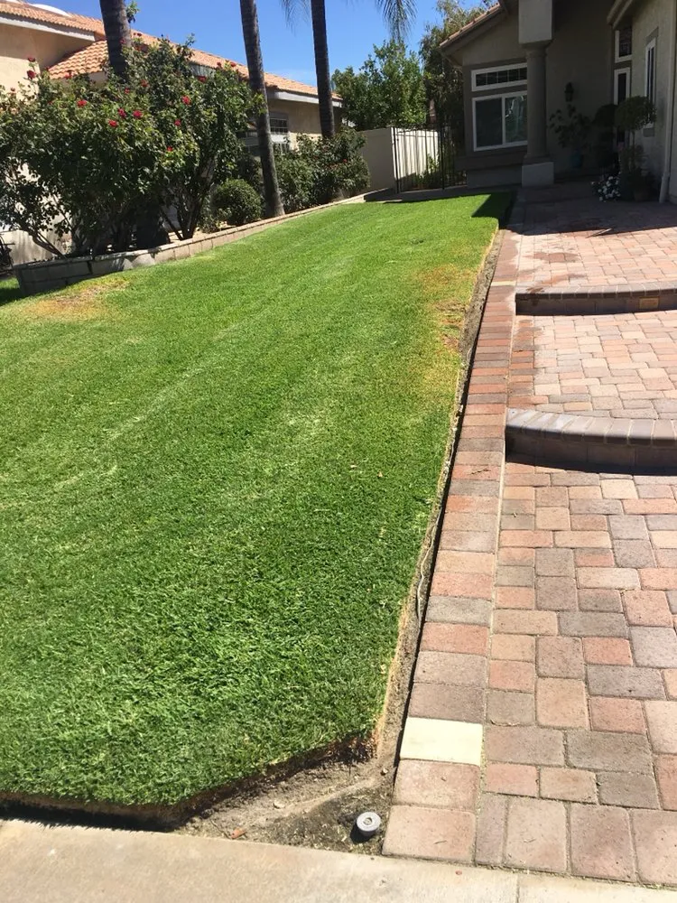 Trusted yard cleanup service in Redlands, CA by Legend's Mowing Service and More