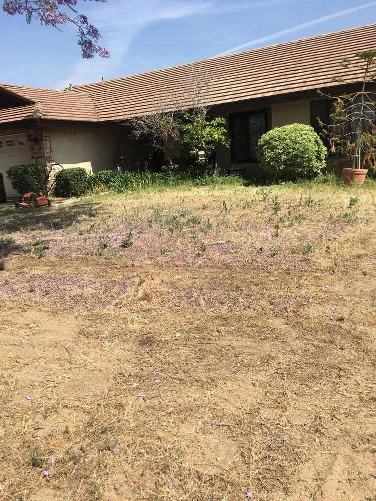 Professional outdoor landscaping in Redlands, CA by Legend's Mowing Service and More