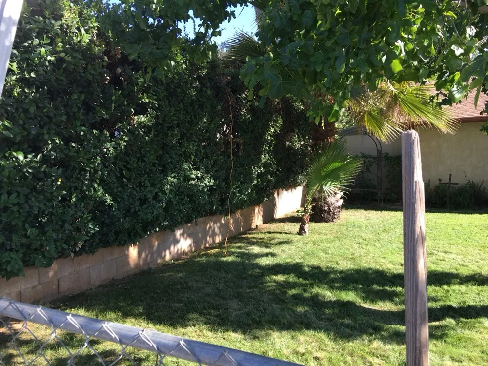 Affordable garden landscaping for residential properties in Redlands, CA by Legend's Mowing Service and More