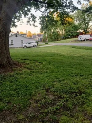 Legendz Lawncare & Landscaping Logo